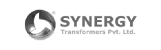Synergy-Transformer